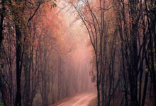 [综合]健康早间操：吴文英带来垫上拉伸训练.