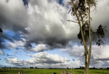 博主:斯帕吉奇已随国安队抵达上海,本周末对阵申花具备出场条件.