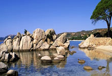 “湾区经济”大潮奔涌融通共赢.